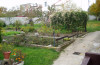 Ogród w Rogoźniku przed przebudową